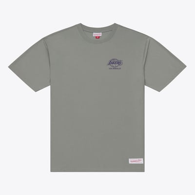  Los Angeles Lakers Mitchell & Ness Core Essentials T-Shirt - Gray