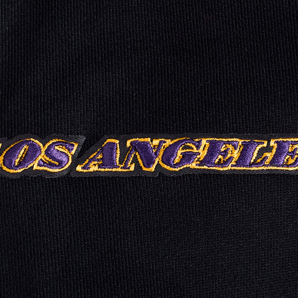 Los Angeles Lakers Pro Standard Area Code Pullover Hoodie - Black