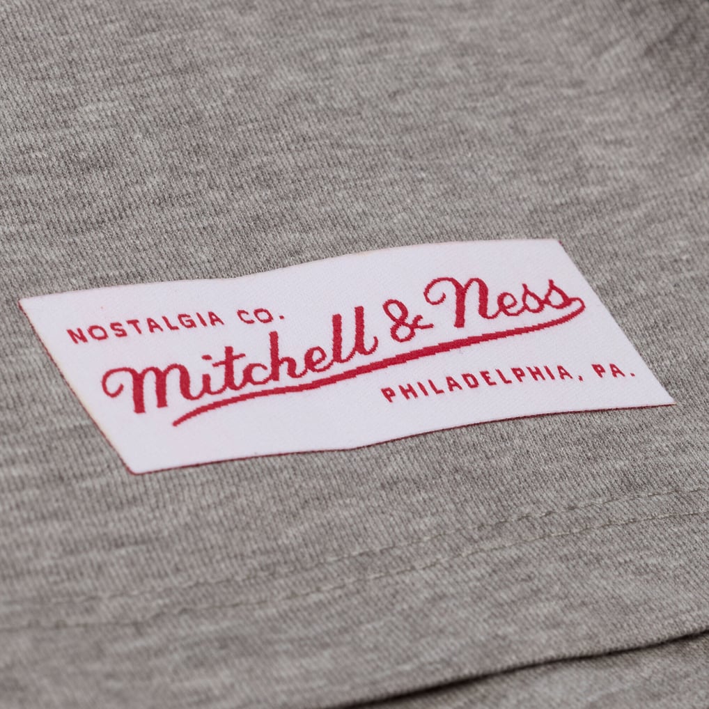 Lisa Leslie Los Angeles Sparks Mitchell & Ness Unisex Player Boyfriend T-Shirt - Heather Gray - Court Origins