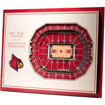 Louisville Cardinals Fanpoint 17'' x 13'' 5-Layer StadiumView 3D Wall Art