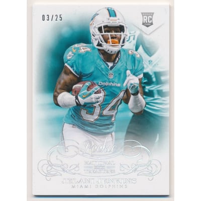 2013 Panini National Treasures Century Silver #166 Jelani Jenkins
