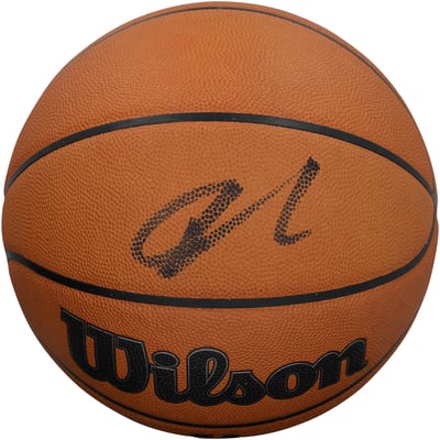 Giannis Antetokounmpo Miami Heat Autographed Fanatics Authentic Wilson Official Game Basketball 