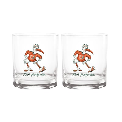  Miami Hurricanes Indigo Falls Laura Wilcox Mascot Rocks Glass Set of 2
