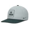 Snapbacks