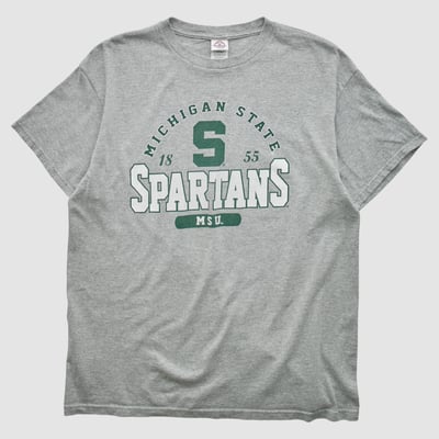Michigan State Spartans Delta 2000s T-shirt - Heather Gray - L by Fanatics Real Vintage