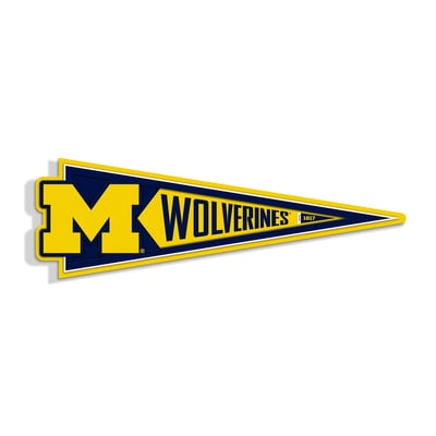 Michigan Wolverines IDNA 23" 3D Pennant Wall Art