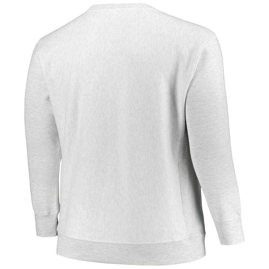 Michigan Wolverines Champion Big & Tall Reverse Weave Fleece Crewneck Pullover Sweatshirt - Ash