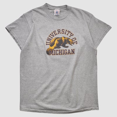 Michigan Wolverines Delta 2000s T-shirt - Heather Gray - M by Fanatics Real Vintage