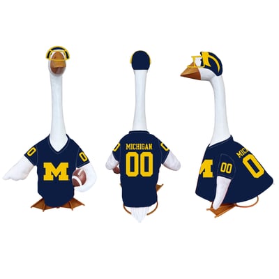 Michigan Wolverines Game Day Porch Goose Uniform Outfit Set