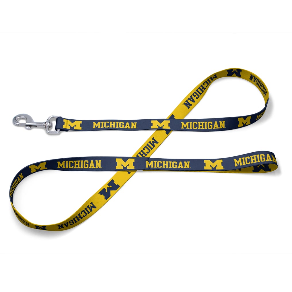 Michigan Wolverines WinCraft Pet Leash