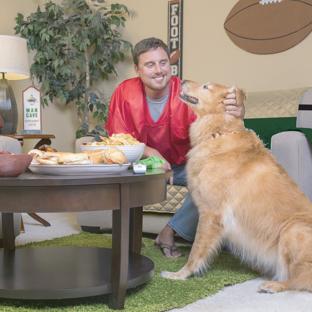 Milwaukee Bucks Pegasus Sofa Protector