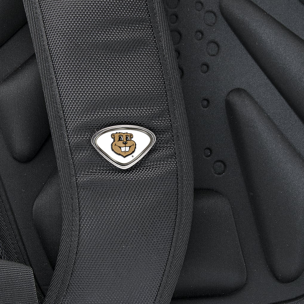 Minnesota Golden Gophers Executive Backpack - Black