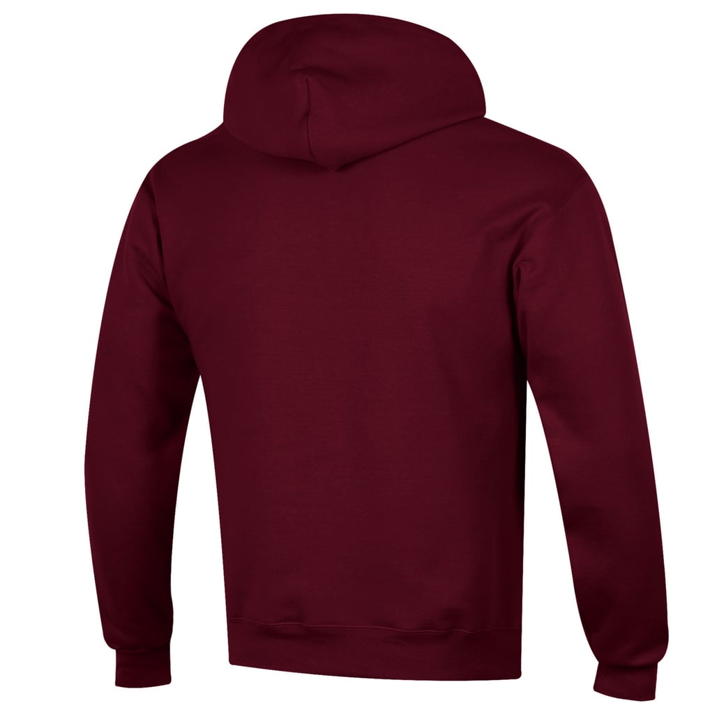 Minnesota Golden Gophers Champion Softball Stack Pullover Hoodie - Maroon