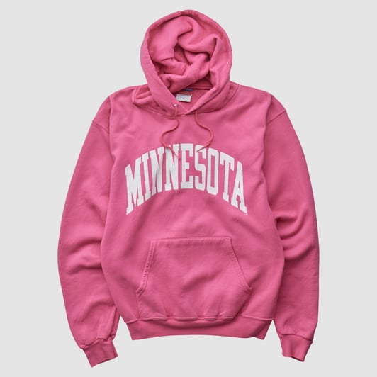 Minnesota Golden Gophers Champion 2000s Hooded Pullover Sweatshirt - Pink - S by Fanatics Real Vintage
