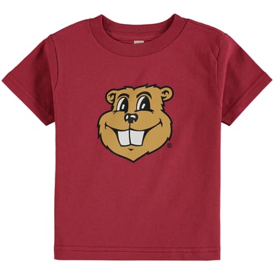 Minnesota Golden Gophers Toddler Big Logo T-Shirt - Maroon