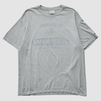 Minnesota Timberwolves Champion 90s T-shirt - Gray - L by Fanatics Real Vintage