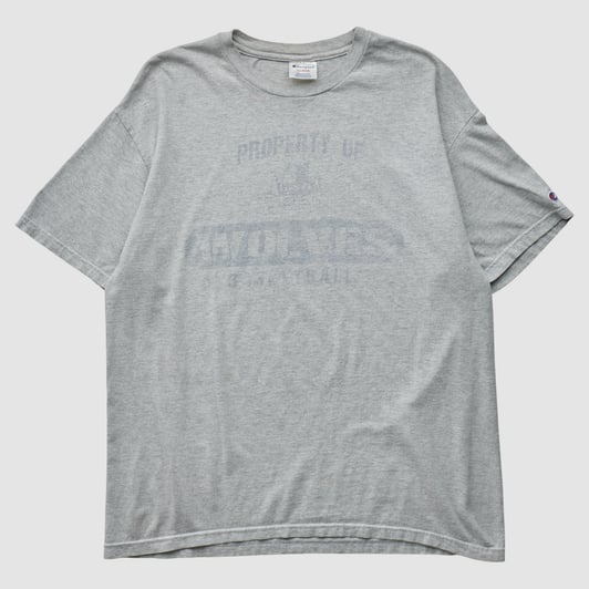 Minnesota Timberwolves Champion 90s T-shirt - Gray - L by Fanatics Real Vintage