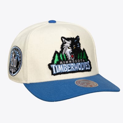 Minnesota Timberwolves Mitchell & Ness Unisex Cream Team Pro Adjustable Hat - Cream
