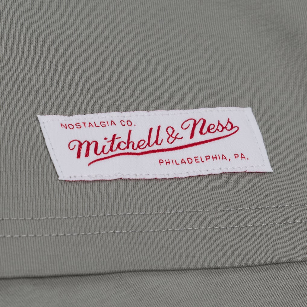 Men's Minnesota Vikings Mitchell & Ness Gray Core Essentials Street ...