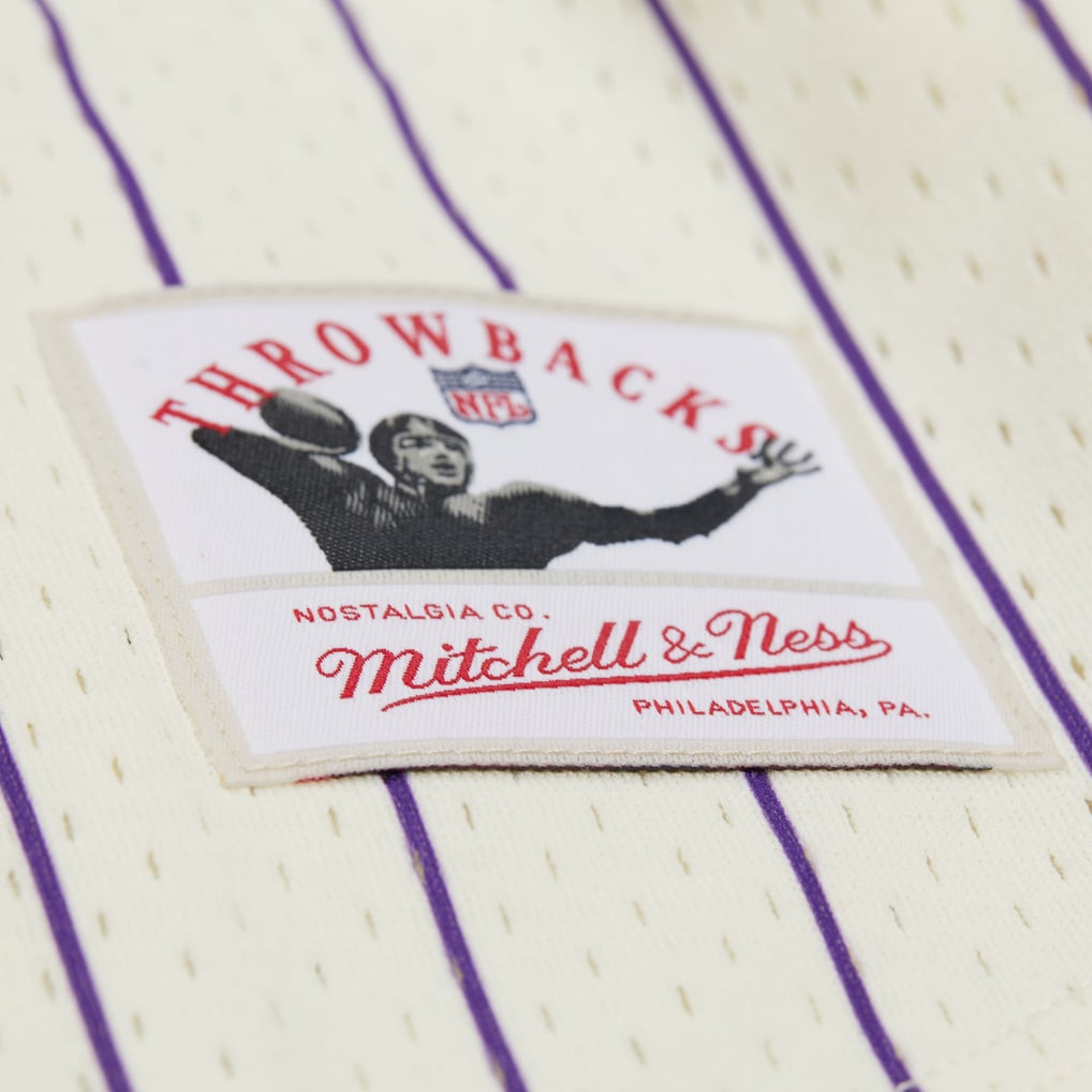 Randy Moss Minnesota Vikings Mitchell & Ness Name & Number Mesh Button-Up Baseball Jersey - Cream