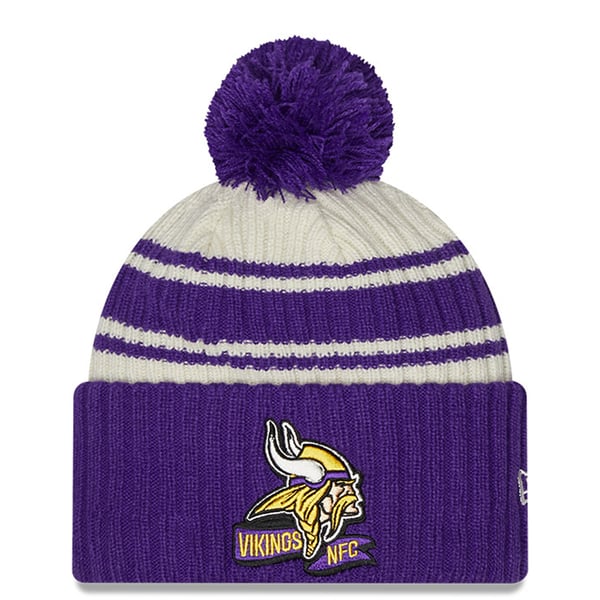purple-minnesota-vikings-2022-  display picture 3