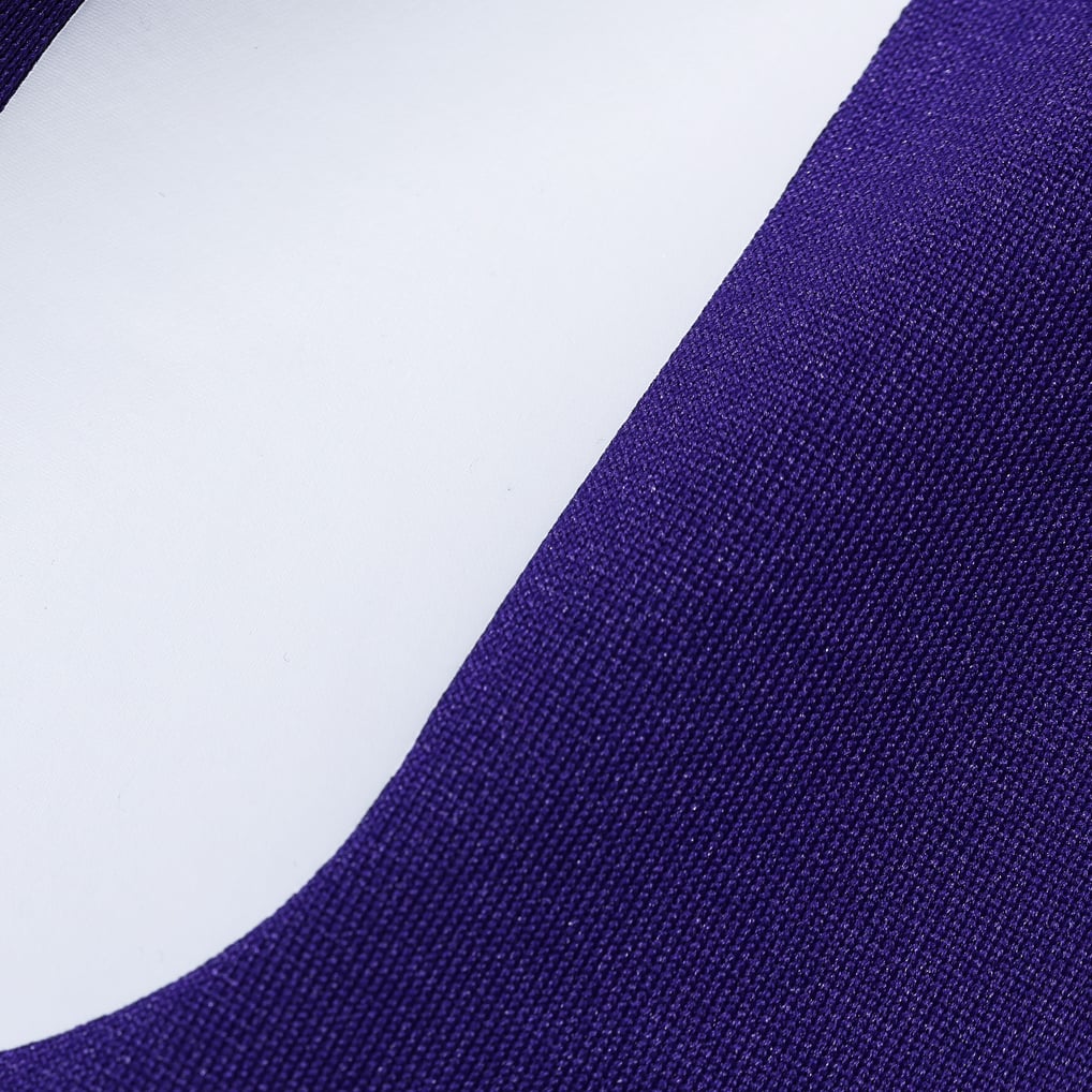 Randy Moss Minnesota Vikings Nike Game Retired Player Jersey - Purple