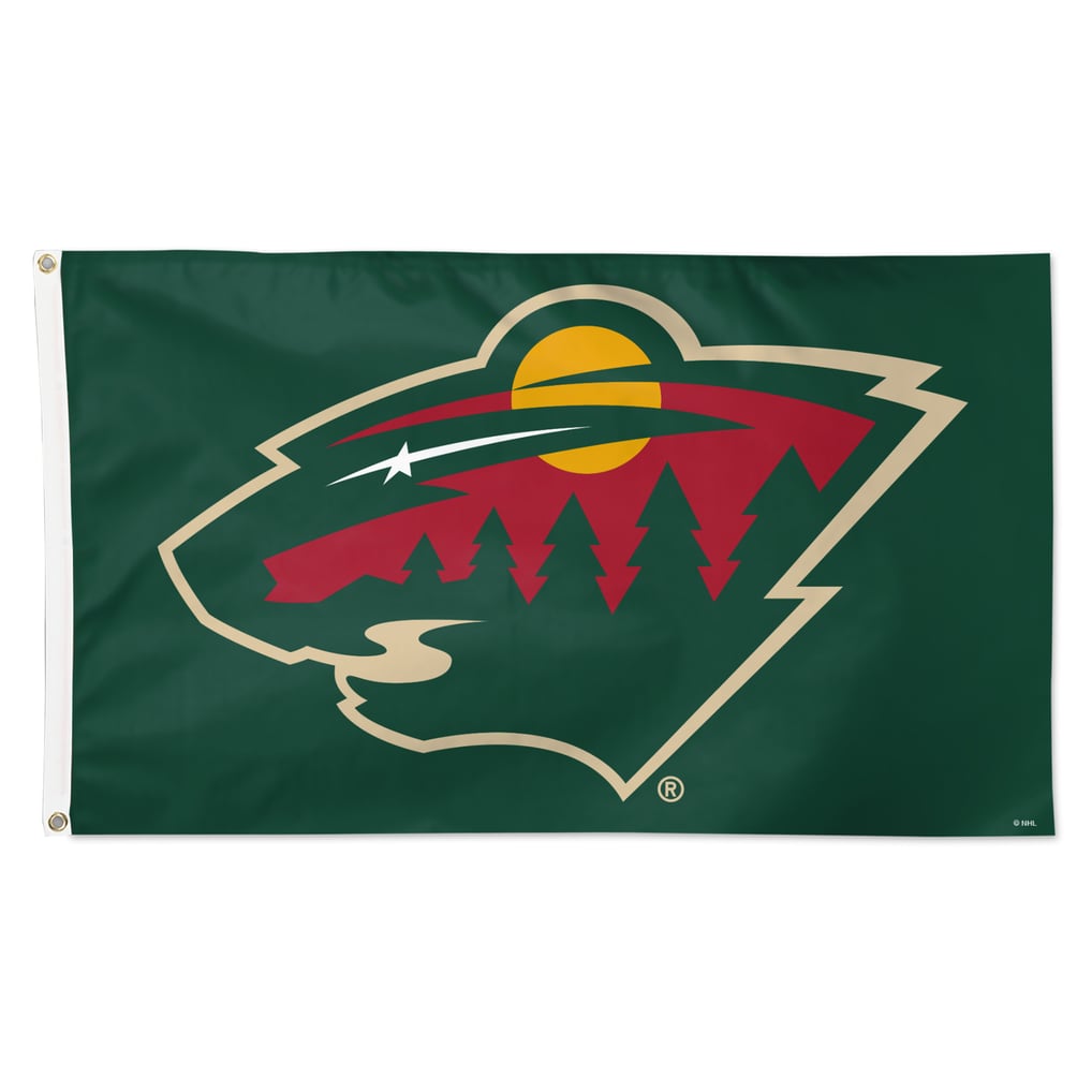 Minnesota Wild WinCraft 3' x 5' Primary Logo Single-Sided Flag