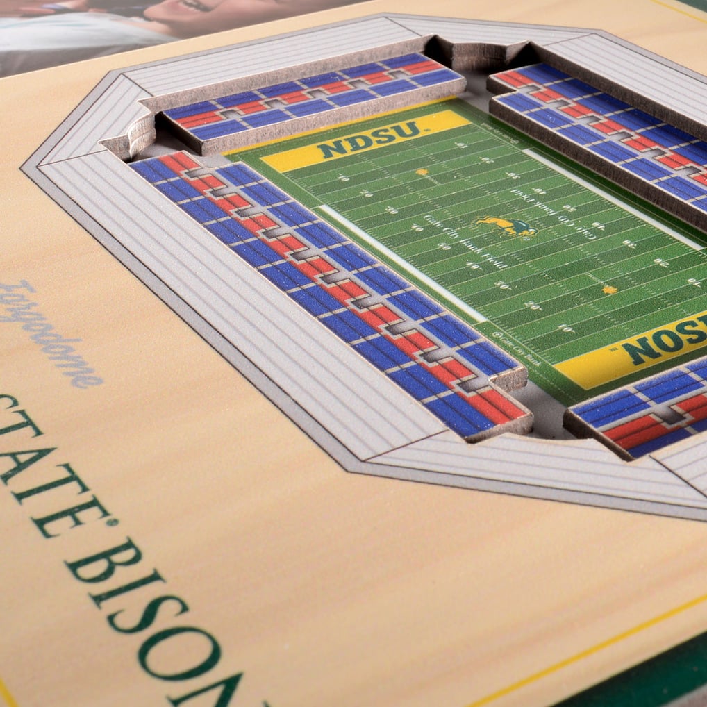 NDSU Bison 3D StadiumView Picture Frame