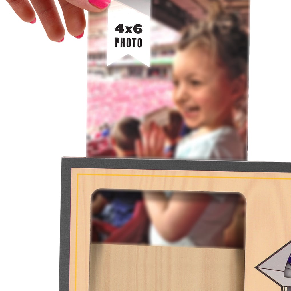NDSU Bison 3D StadiumView Picture Frame