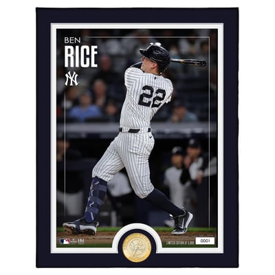 Ben Rice New York Yankees Highland Mint Limited Edition 13" x 16" Bronze Coin Photo Mint