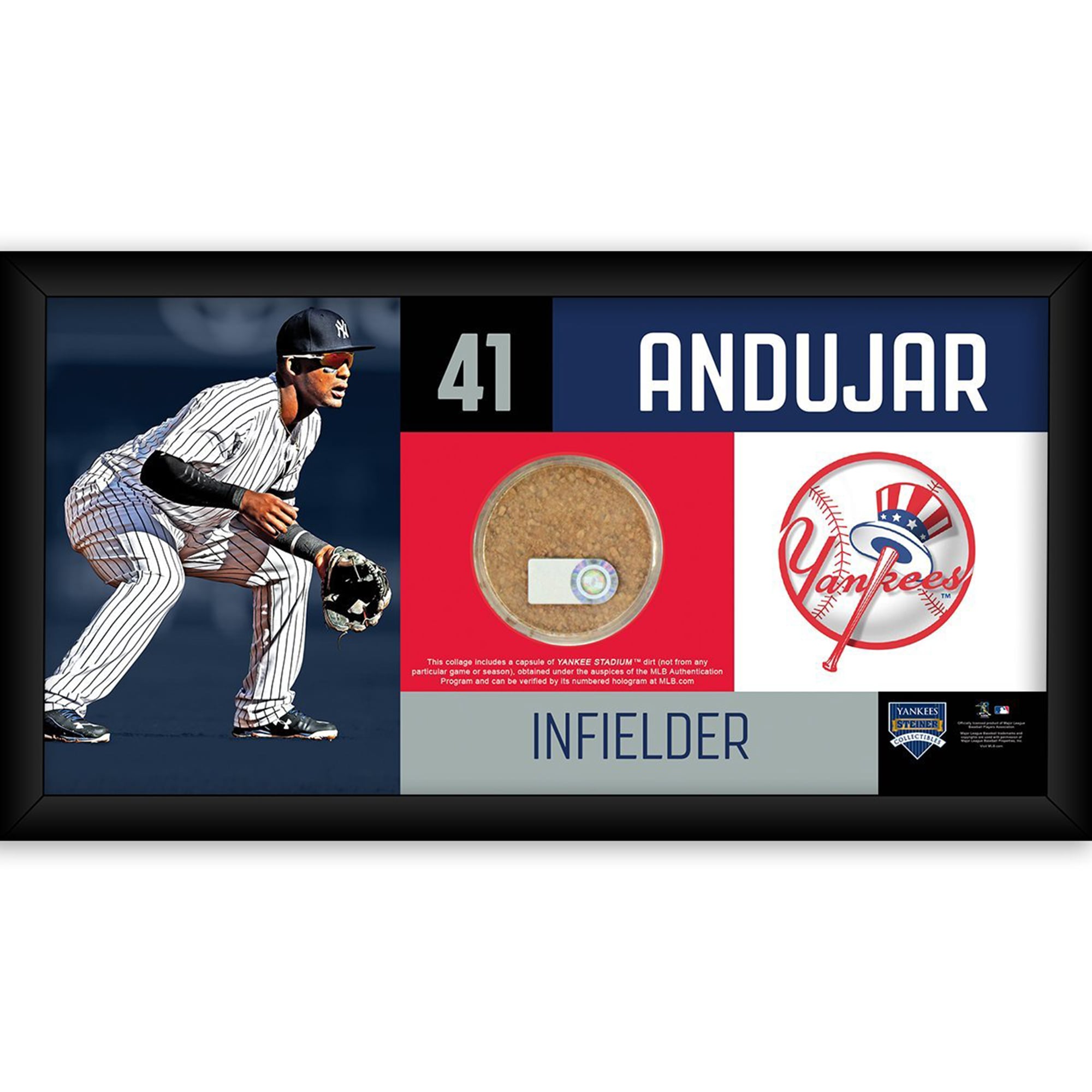 New York Yankees Miguel Andujar 4x8 Frame with Game Used Dirt from ...
