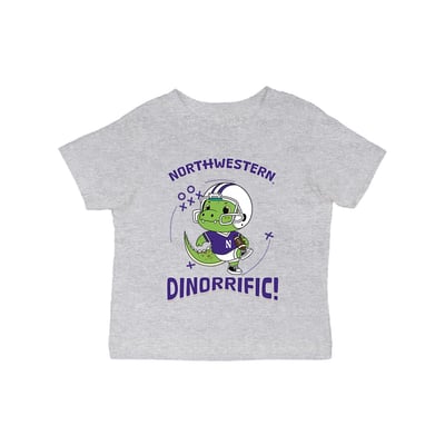 Northwestern Wildcats Vive La Fete Infant Dinorrific T-Shirt - Gray