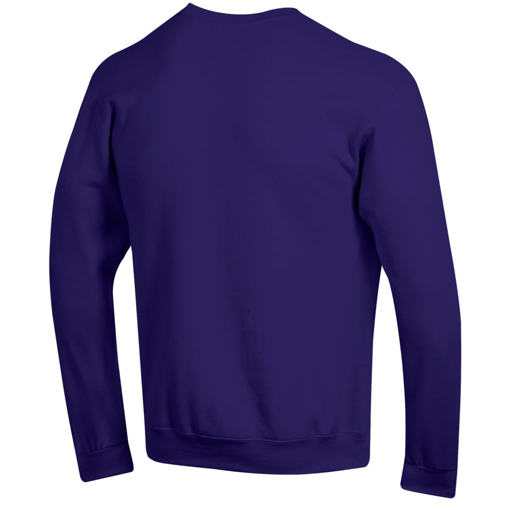  Northwestern Wildcats Champion Basic Arch Fleece Pullover Sweatshirt - Purple