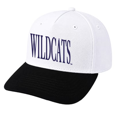 Northwestern Wildcats Under Armour Unisex Blitzing Accent Iso-Chill Stretch Fit Hat - White
