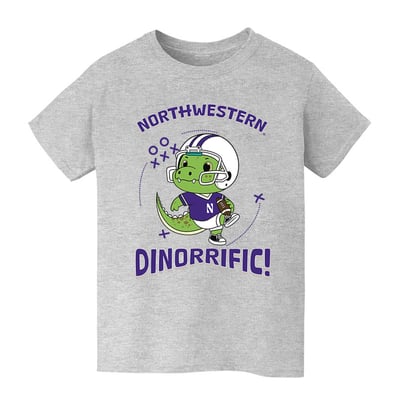 Northwestern Wildcats Vive La Fete Youth Dinorrific T-Shirt - Gray