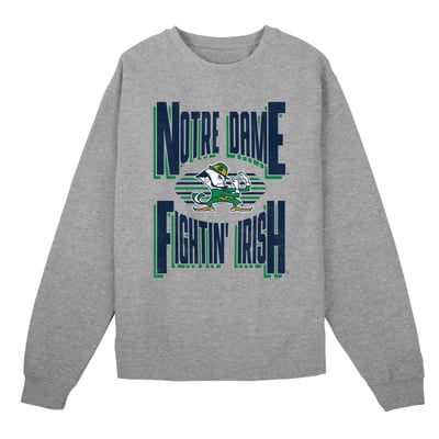 Notre Dame Fighting Irish Outerstuff Preschool Jet Stream Sweatshirt - Gray
