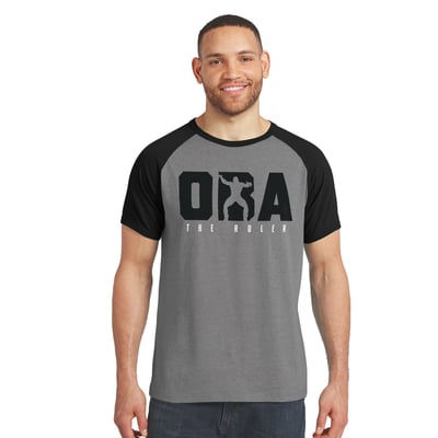 Oba Femi Darius Rucker Collection by Fanatics Raglan T-Shirt - Gray