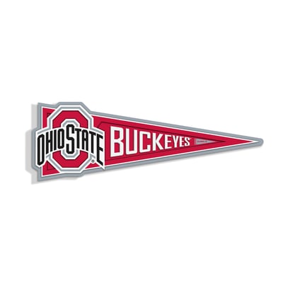 Ohio State Buckeyes IDNA 23" 3D Pennant Wall Art