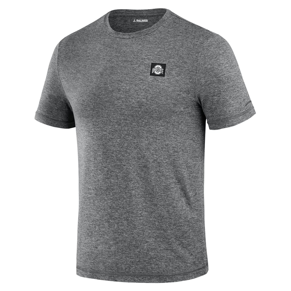  Ohio State Buckeyes J. Palmer Four Down T-Shirt - Heather Black