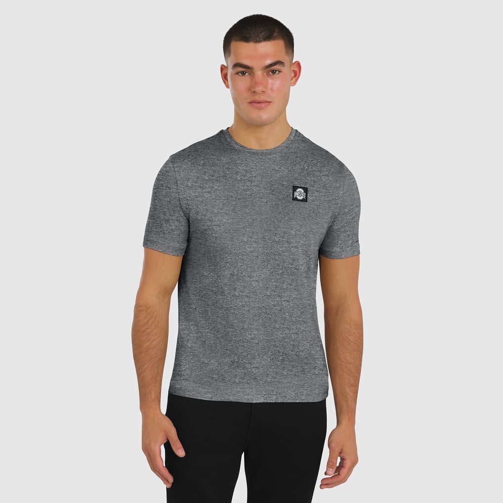 Ohio State Buckeyes J. Palmer Four Down T-Shirt - Heather Black