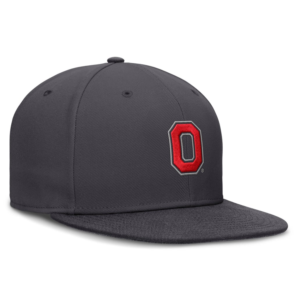Ohio State Buckeyes Nike Pro Dri-FIT Fitted Hat - Anthracite