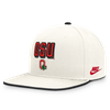 Snapbacks
