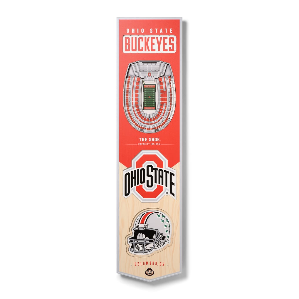 Ohio State Buckeyes 8'' x 32'' 3D StadiumView Banner