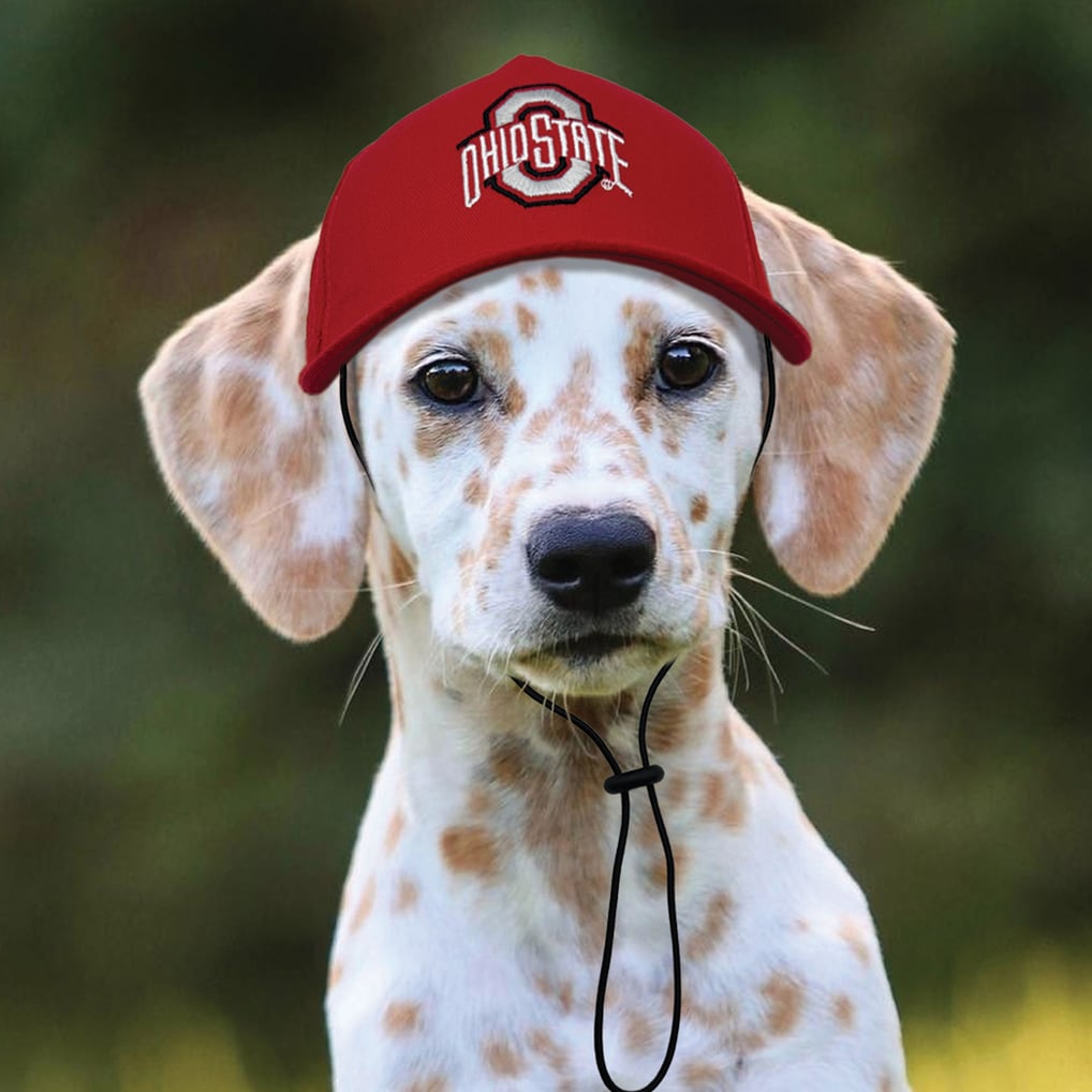 Ohio State Buckeyes Adjustable Pet Hat