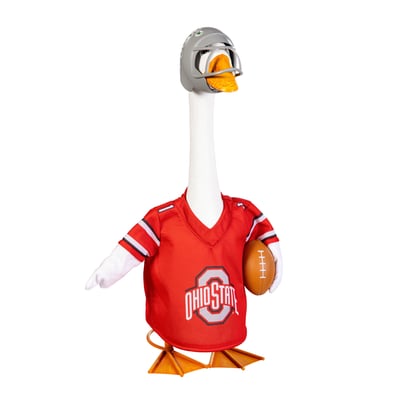 Ohio State Buckeyes Game Day Porch Goose Uniform Outfit Set