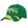 Snapbacks