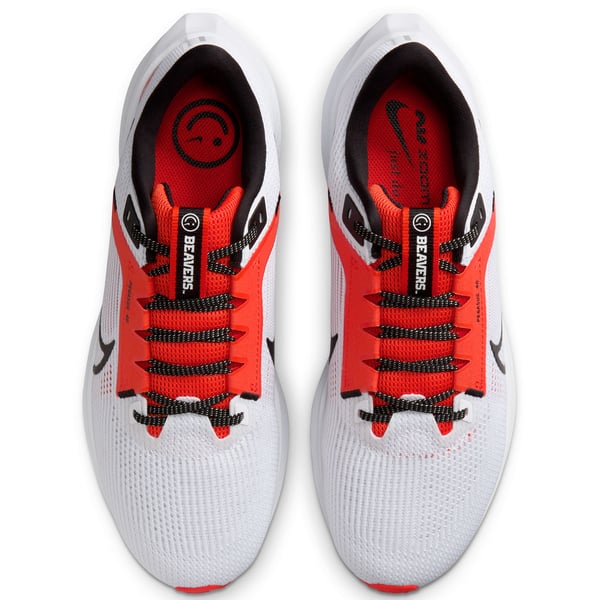 Nike Air Zoom Pegasus 40 \