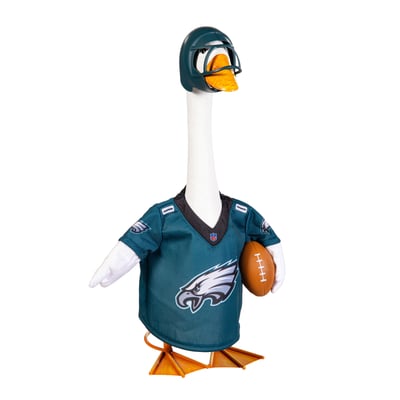Philadelphia Eagles Game Day Porch Goose Uniform Outfit Set