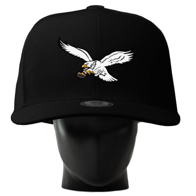  Philadelphia Eagles Noggin Boss Unisex Oversized Hat - Black