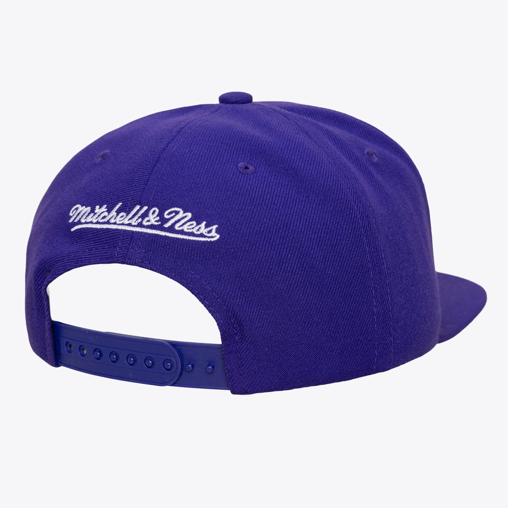 Phoenix Suns Mitchell & Ness Head Coach Snapback Hat - Purple